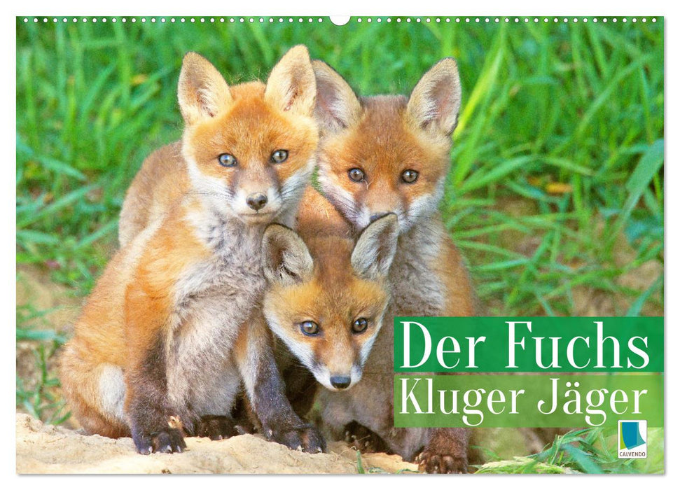 Der Fuchs: Kluger Jäger (CALVENDO Wandkalender 2027)
