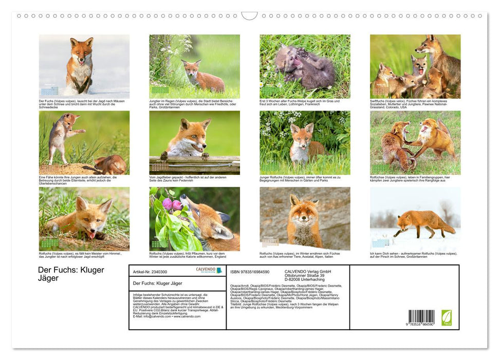 Der Fuchs: Kluger Jäger (CALVENDO Wandkalender 2027)