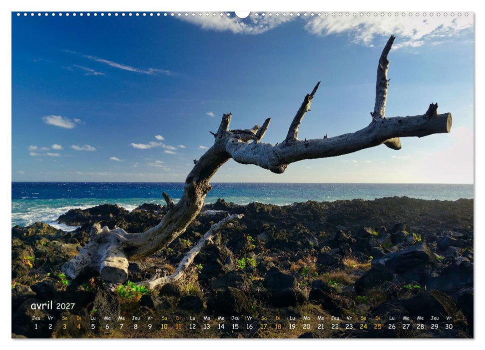 La Rèunion - Côtes fantastiques et paysage montagneux (CALVENDO Calendrier supérieur 2027)