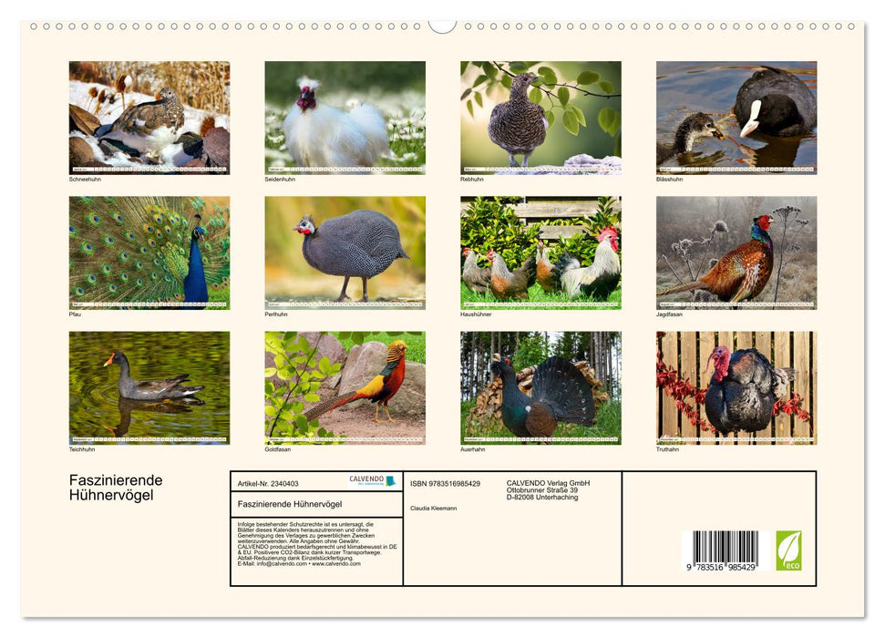 Faszinierende Hühnervögel (CALVENDO Premium Wandkalender 2027)