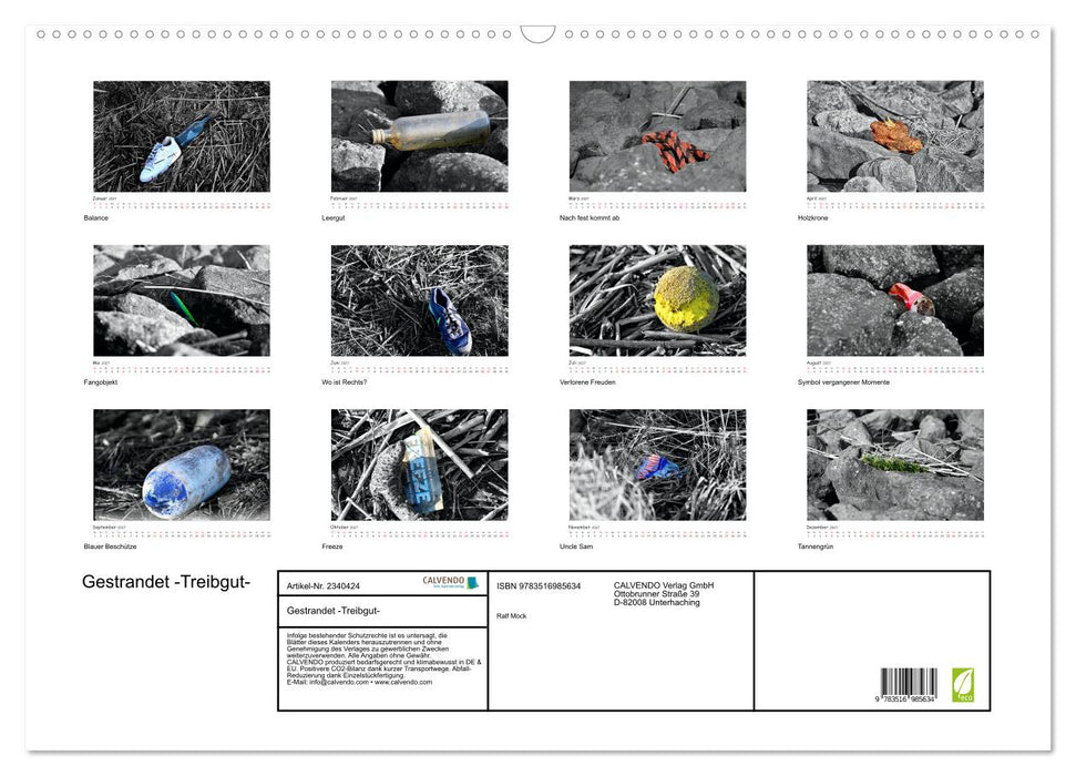 Gestrandet -Treibgut- (CALVENDO Wandkalender 2027)