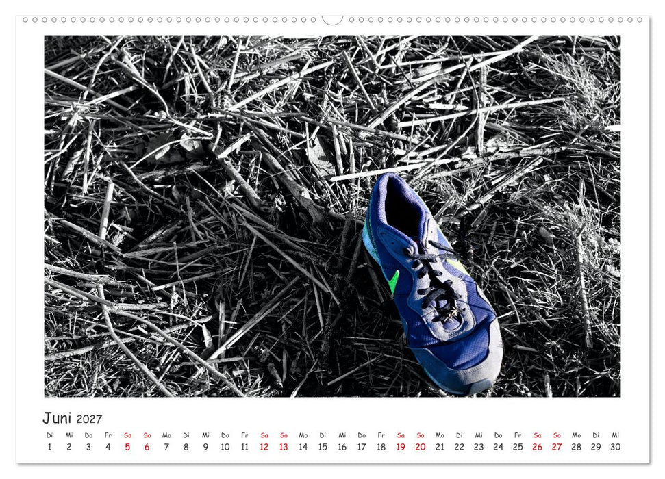 Gestrandet -Treibgut- (CALVENDO Wandkalender 2027)