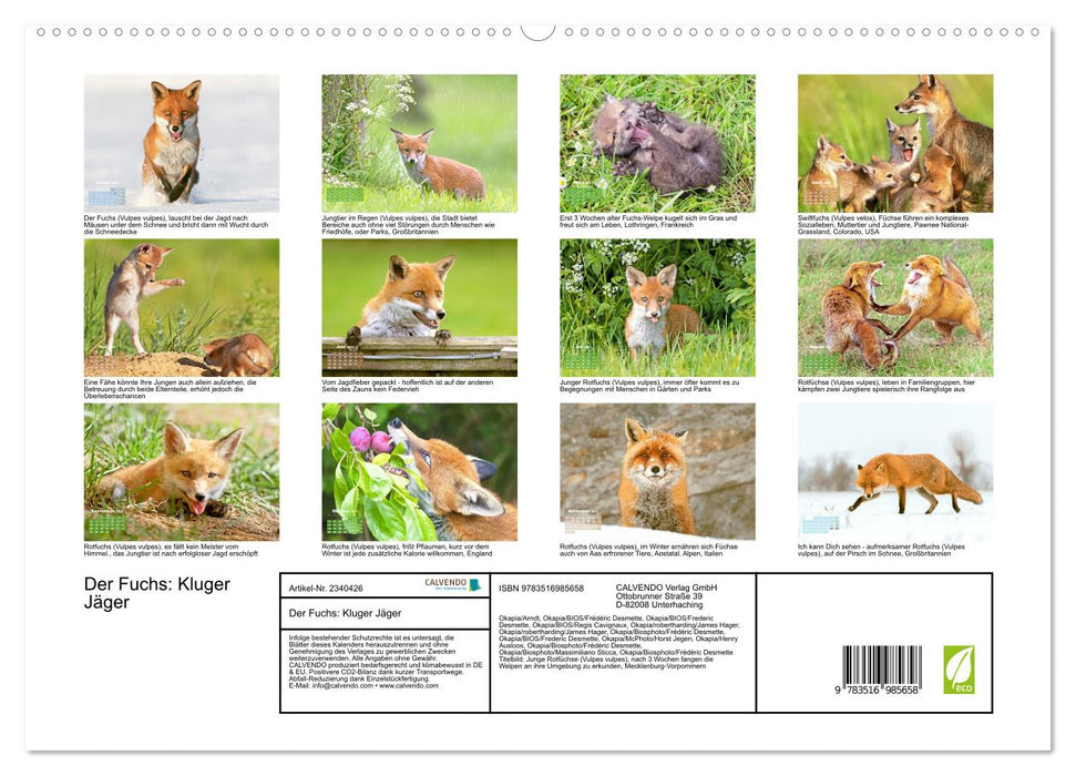Der Fuchs: Kluger Jäger (CALVENDO Premium Wandkalender 2027)