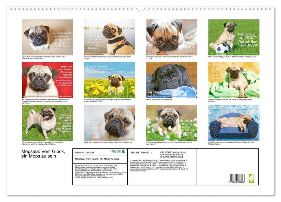 Mopsala: Vom Glück, ein Mops zu sein (CALVENDO Wandkalender 2027)