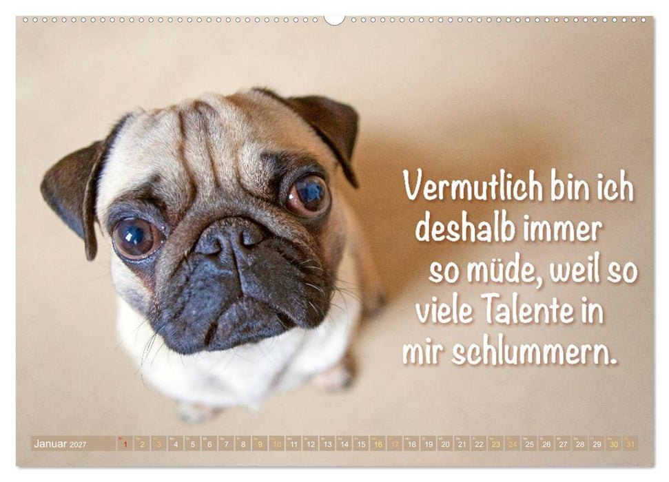 Mopsala: Vom Glück, ein Mops zu sein (CALVENDO Wandkalender 2027)