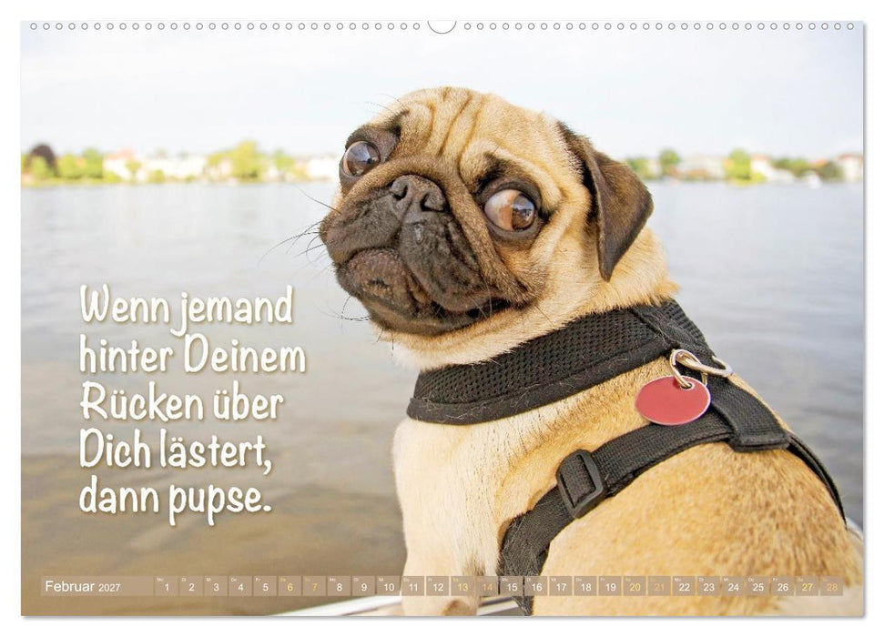 Mopsala: Vom Glück, ein Mops zu sein (CALVENDO Wandkalender 2027)