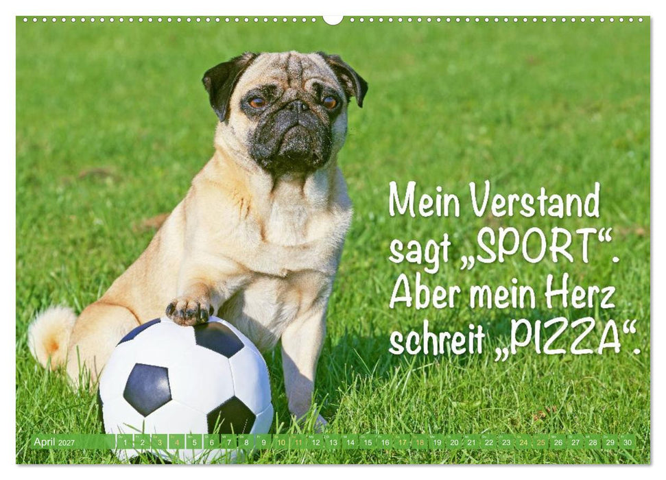 Mopsala: Vom Glück, ein Mops zu sein (CALVENDO Wandkalender 2027)