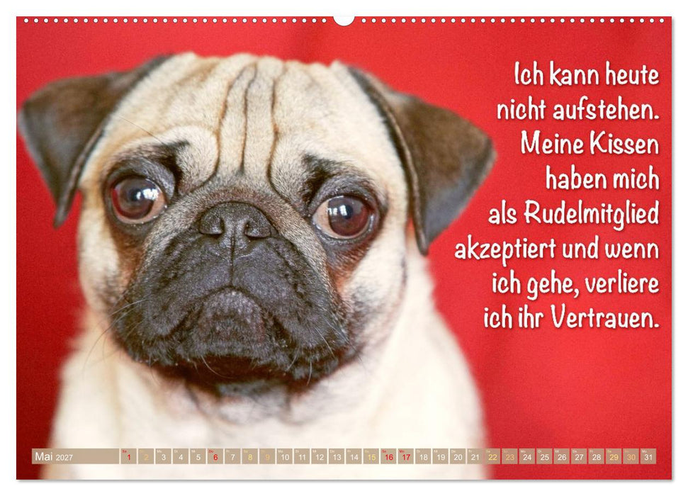 Mopsala: Vom Glück, ein Mops zu sein (CALVENDO Wandkalender 2027)
