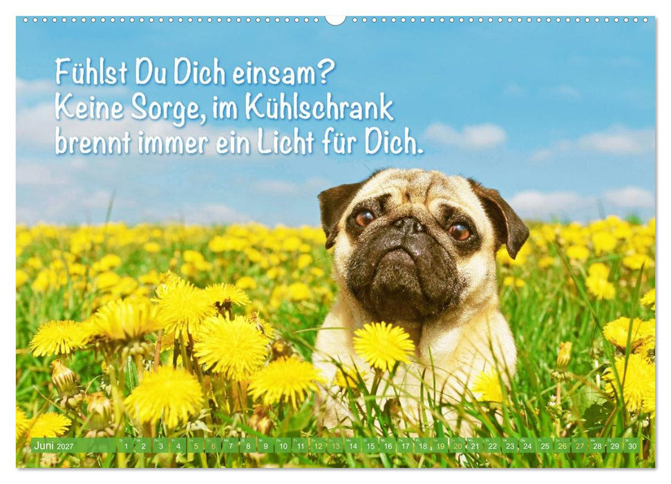 Mopsala: Vom Glück, ein Mops zu sein (CALVENDO Wandkalender 2027)