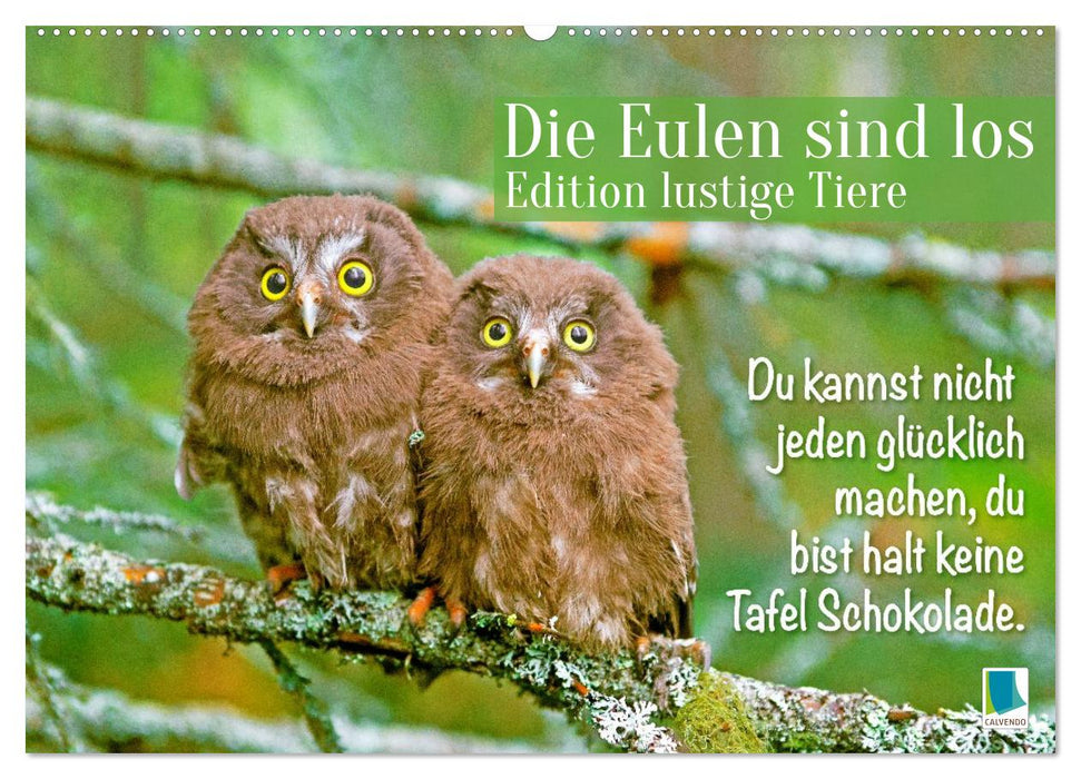 Die Eulen sind los: Edition lustige Tiere (CALVENDO Wandkalender 2027)