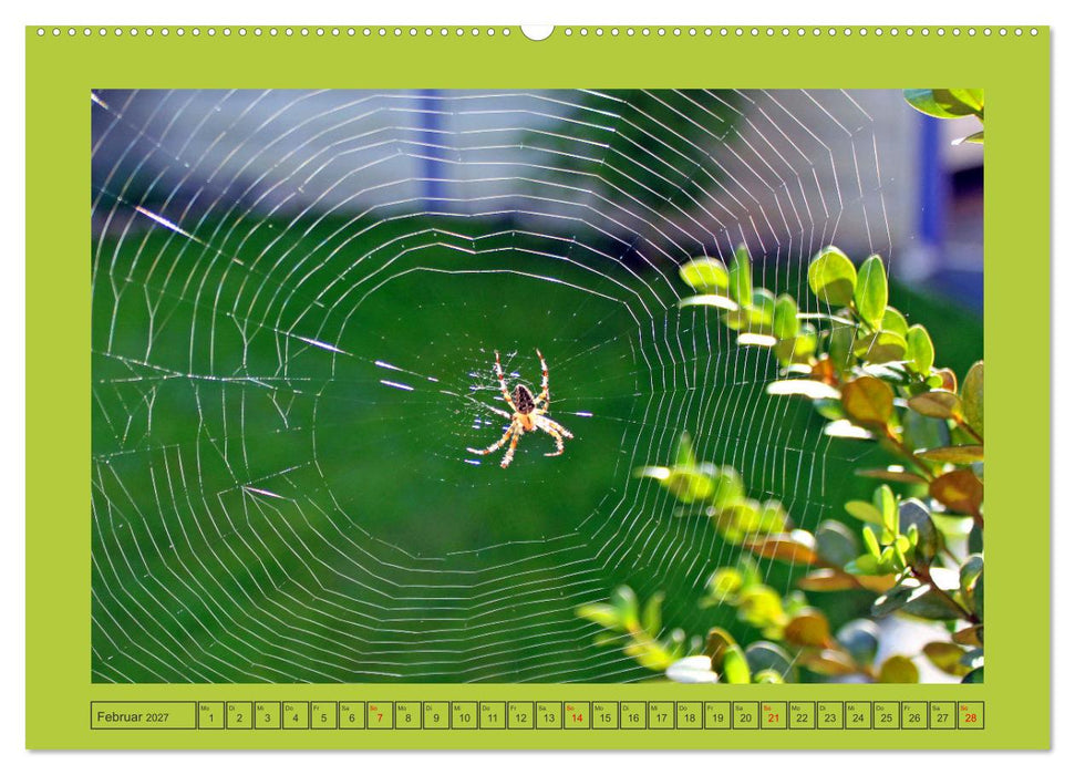 Wir sind die Stars im Garten (CALVENDO Premium Wandkalender 2027)