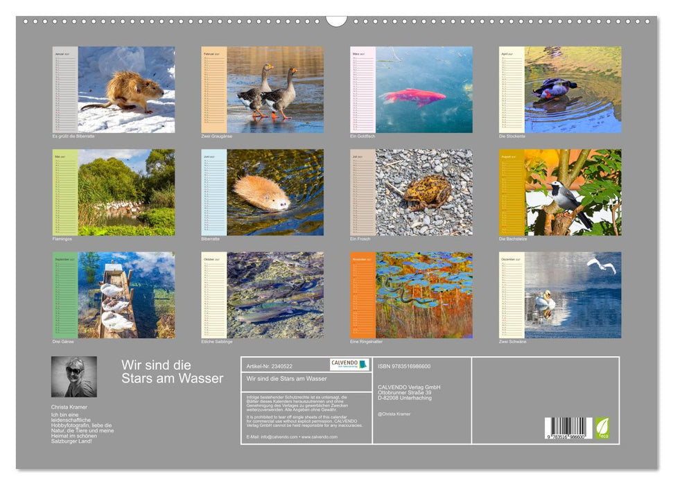 Wir sind die Stars am Wasser (CALVENDO Wandkalender 2027)