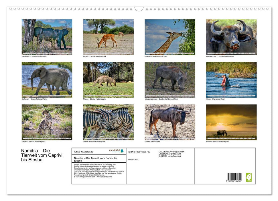 Namibia – Die Tierwelt vom Caprivi bis Etosha (CALVENDO Wandkalender 2027)