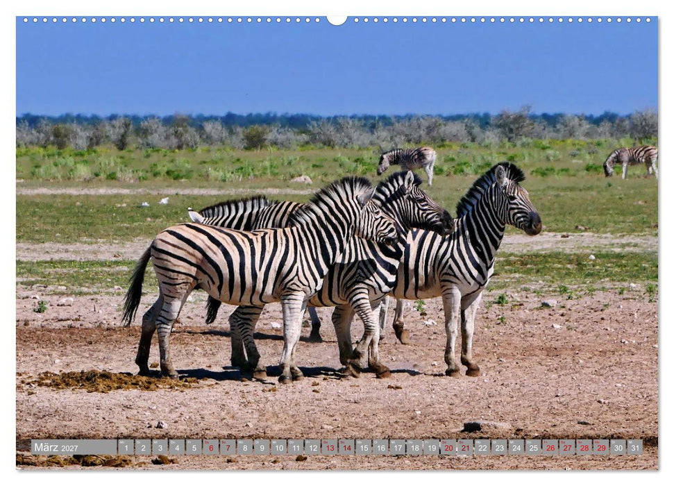 Namibia - Von Nord nach Süd (CALVENDO Premium Wandkalender 2027)
