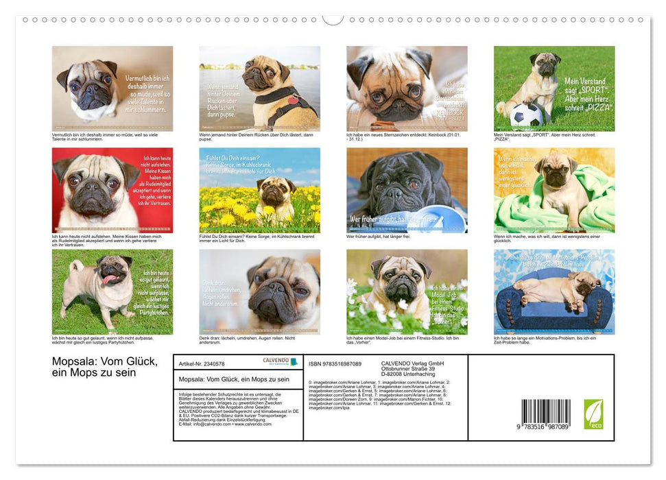 Mopsala: Vom Glück, ein Mops zu sein (CALVENDO Premium Wandkalender 2027)