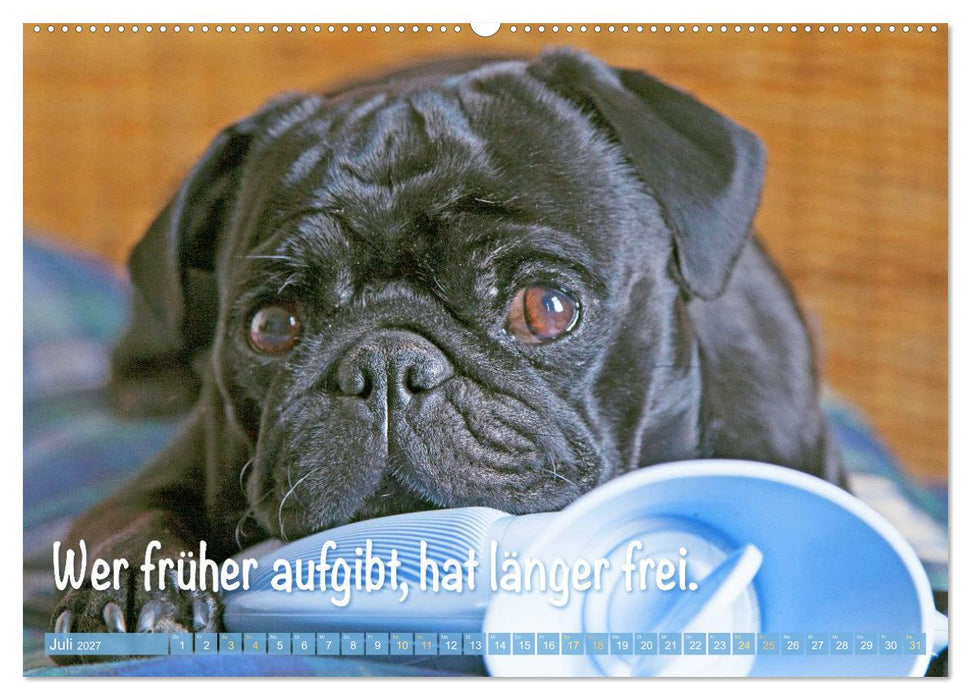Mopsala: Vom Glück, ein Mops zu sein (CALVENDO Premium Wandkalender 2027)