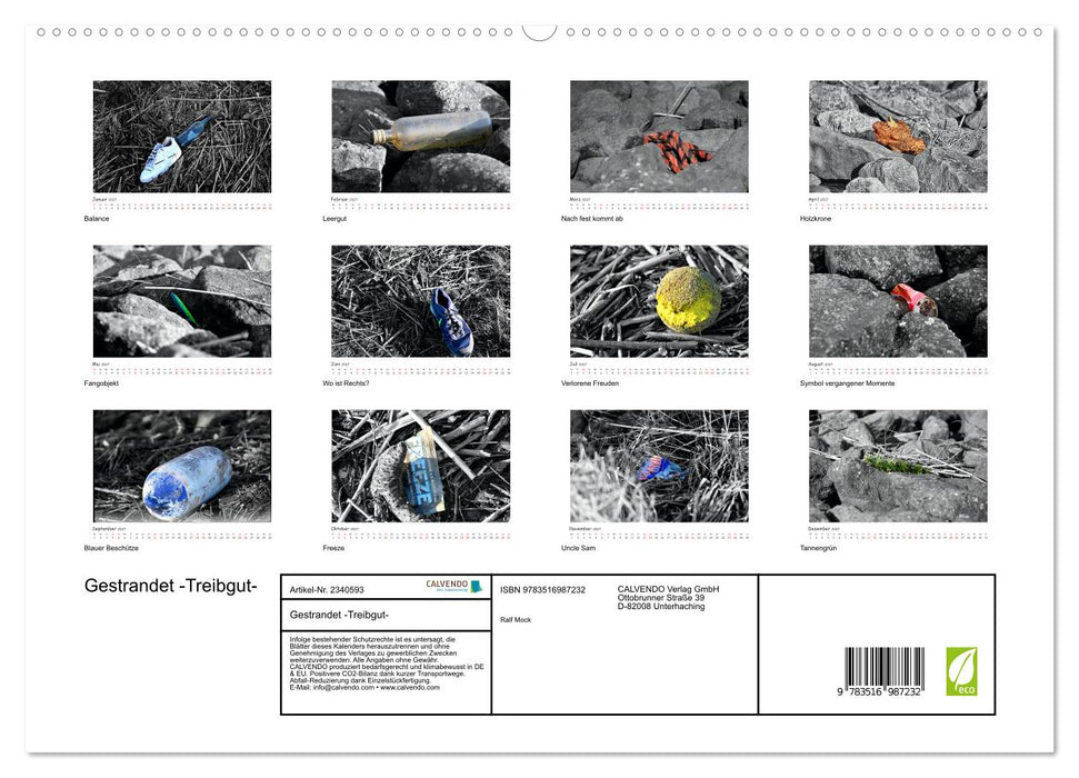 Gestrandet -Treibgut- (CALVENDO Premium Wandkalender 2027)