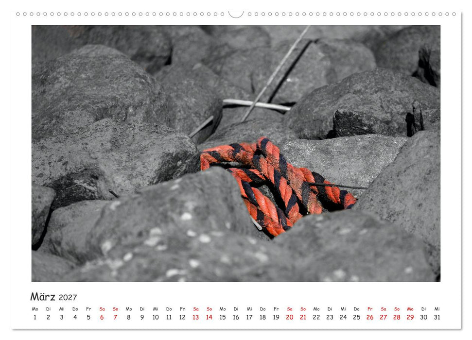 Gestrandet -Treibgut- (CALVENDO Premium Wandkalender 2027)