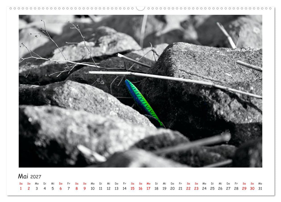 Gestrandet -Treibgut- (CALVENDO Premium Wandkalender 2027)