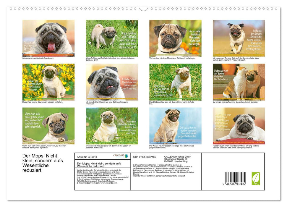 Der Mops: Nicht klein, sondern aufs Wesentliche reduziert. (CALVENDO Premium Wandkalender 2027)