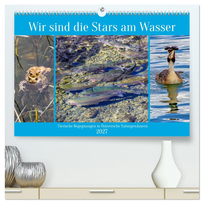 Wir sind die Stars am Wasser (CALVENDO Premium Wandkalender 2027)