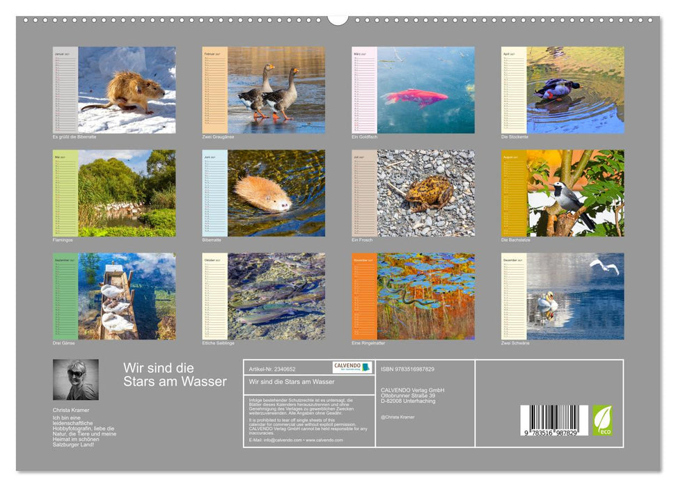 Wir sind die Stars am Wasser (CALVENDO Premium Wandkalender 2027)