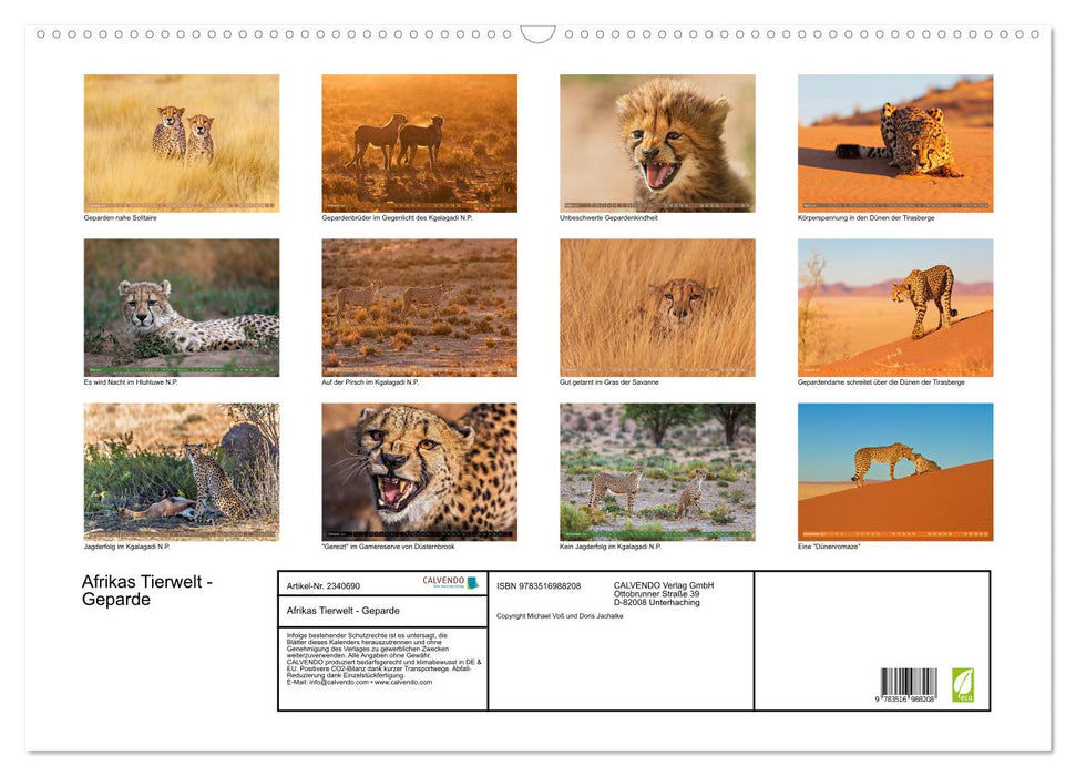 Afrikas Tierwelt - Geparde (CALVENDO Wandkalender 2027)