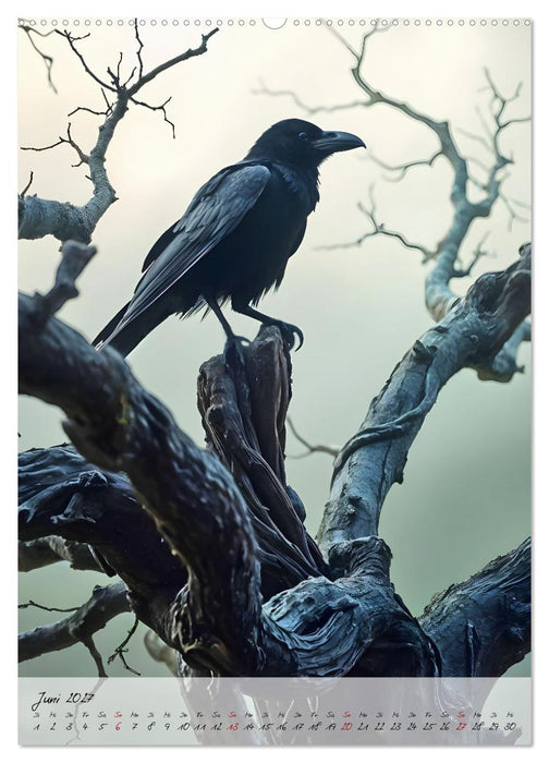 Rabenmond - Ein mystischer Jahresbegleiter (CALVENDO Premium Wandkalender 2027)