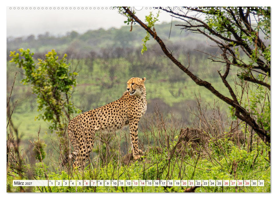 Südafrika - Landschaft voller Vielfalt und Schönheit (CALVENDO Premium Wandkalender 2027)