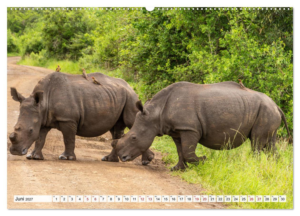 Südafrika - Landschaft voller Vielfalt und Schönheit (CALVENDO Premium Wandkalender 2027)