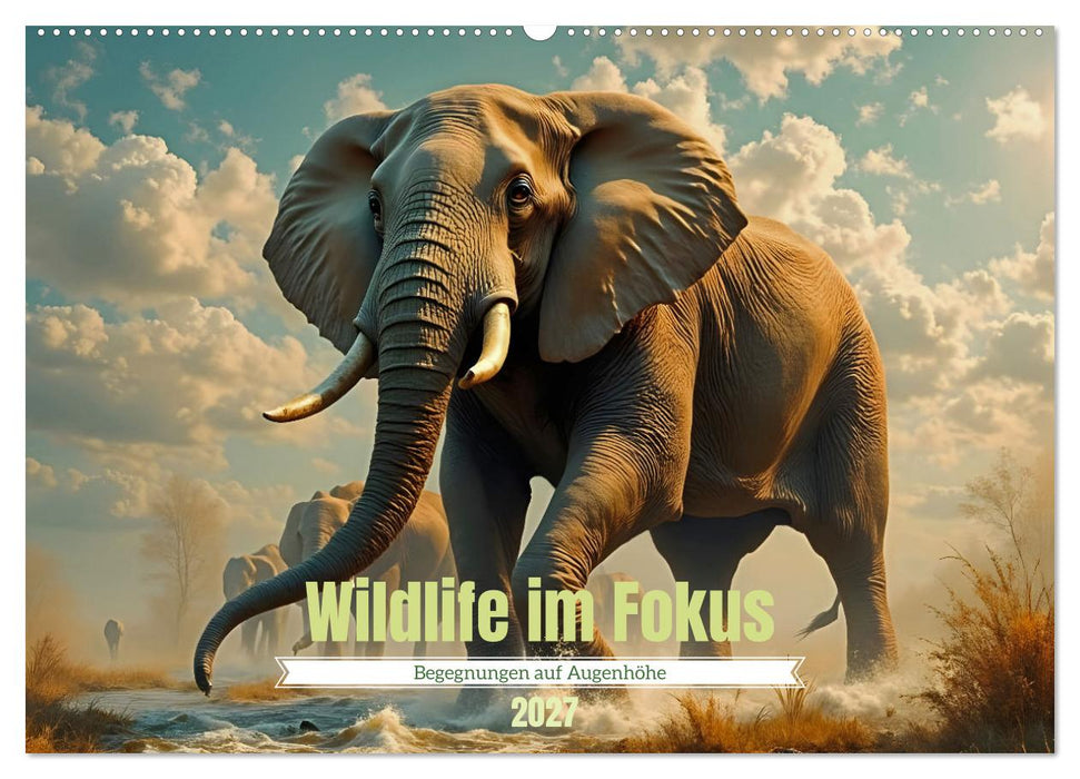 Wildlife im Fokus - Begegnungen auf Augenhöhe (CALVENDO Wandkalender 2027)