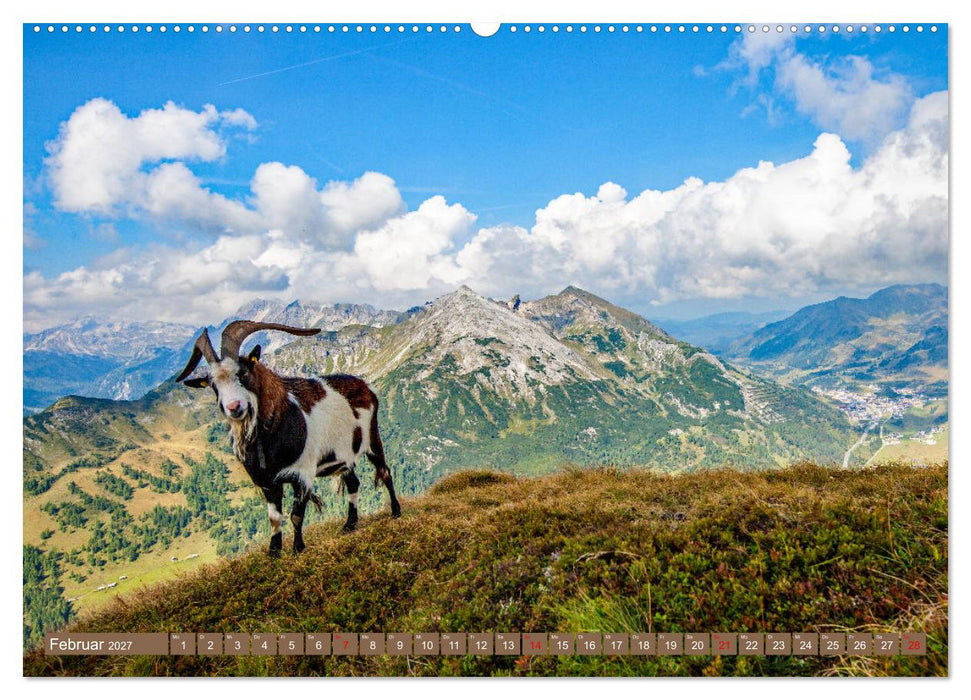 Wir sind die Stars in den Bergen (CALVENDO Premium Wandkalender 2027)