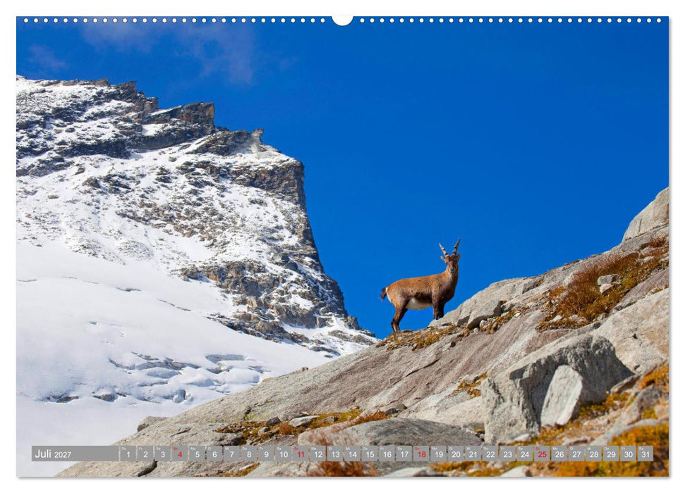 Wir sind die Stars in den Bergen (CALVENDO Premium Wandkalender 2027)