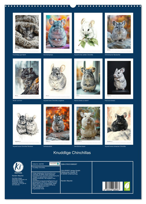 Knuddlige Chinchillas (CALVENDO Premium Wandkalender 2027)