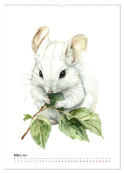 Knuddlige Chinchillas (CALVENDO Premium Wandkalender 2027)