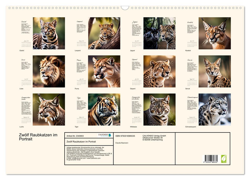 Zwölf Raubkatzen im Portrait (CALVENDO Wandkalender 2027)