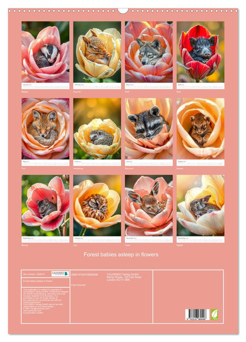Forest babies asleep in flowers (CALVENDO Monthly Calendar 2027)