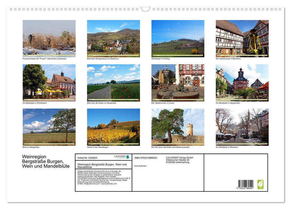Weinregion Bergstraße Burgen, Wein und Mandelblüte (CALVENDO Wandkalender 2027)