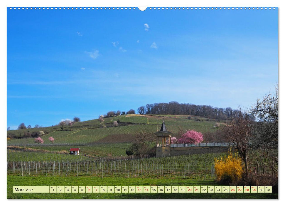 Weinregion Bergstraße Burgen, Wein und Mandelblüte (CALVENDO Wandkalender 2027)