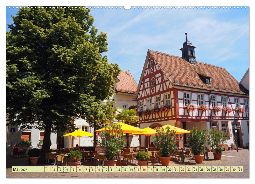 Weinregion Bergstraße Burgen, Wein und Mandelblüte (CALVENDO Premium Wandkalender 2027)
