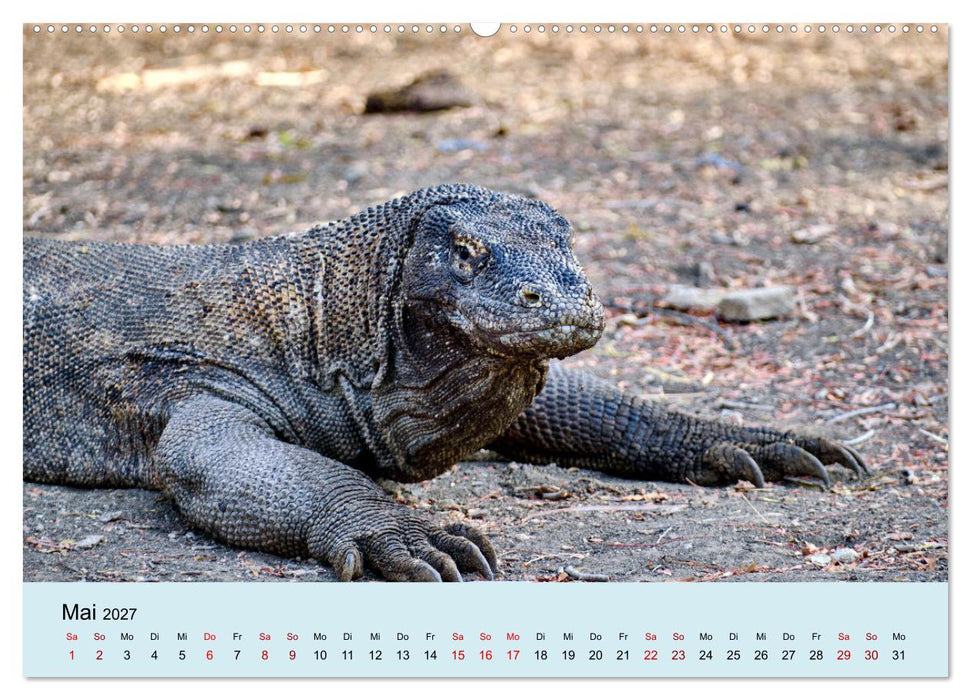 Indonesien - Die kleinen Sundainseln (CALVENDO Wandkalender 2027)