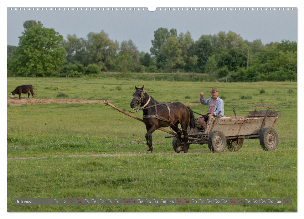 Naturerlebnis Rumänien - Auf den Spuren der Bären und Mythen (CALVENDO Premium Wandkalender 2027)