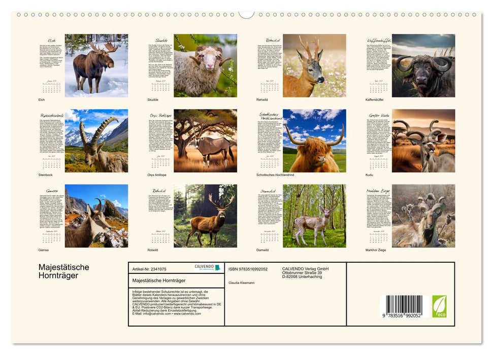 Majestätische Hornträger (CALVENDO Premium Wandkalender 2027)