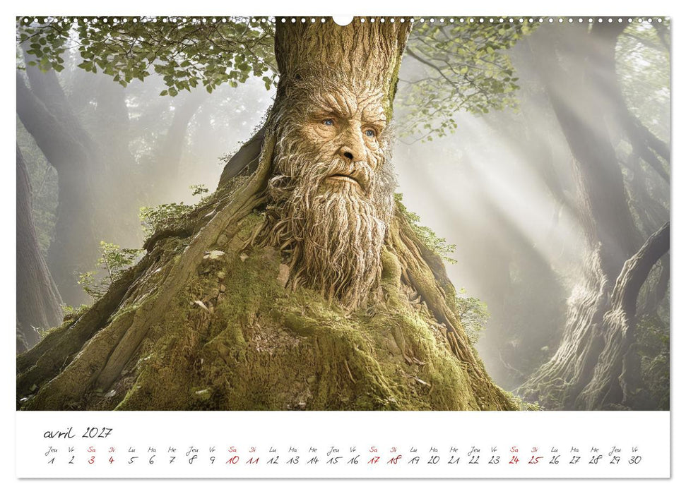 Une étrange forêt - Le monde surprenant des sous-bois (CALVENDO Calendrier mensuel 2027)