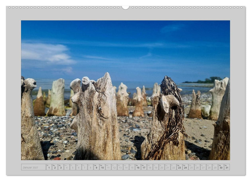 Mön...die Schönheit einer dänischen Insel (CALVENDO Wandkalender 2027)