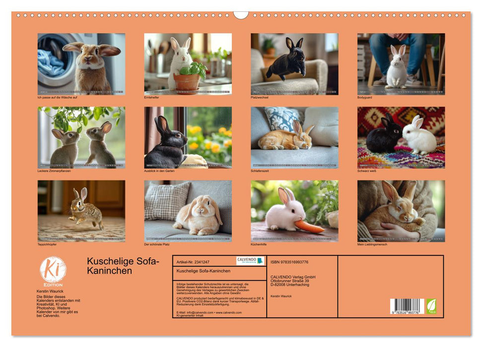 Kuschelige Sofa-Kaninchen (CALVENDO Wandkalender 2027)