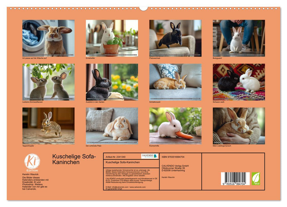 Kuschelige Sofa-Kaninchen (CALVENDO Premium Wandkalender 2027)