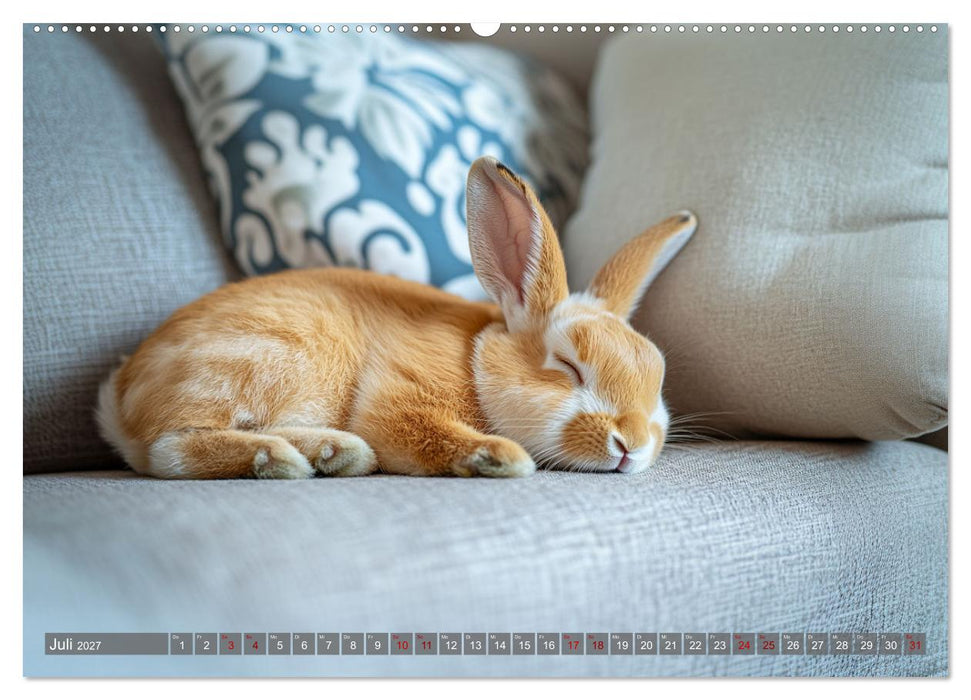 Kuschelige Sofa-Kaninchen (CALVENDO Premium Wandkalender 2027)