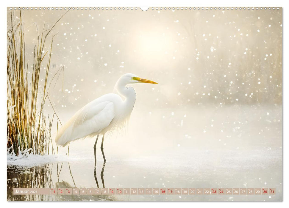 Zwischen Himmel und Wasser (CALVENDO Wandkalender 2027)