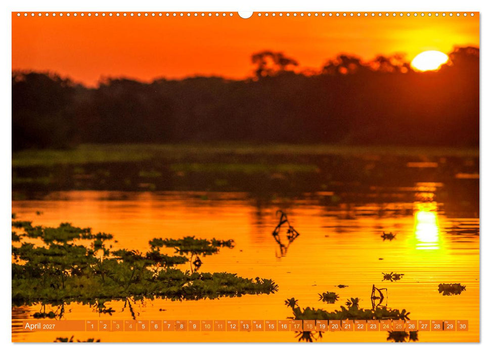 Der Amazonas: von den Anden zum Atlantik (CALVENDO Wandkalender 2027)